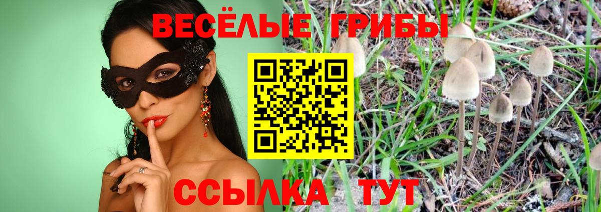 Псилоцибиновые грибы Psilocybe  Вход с VPN  Можайск 